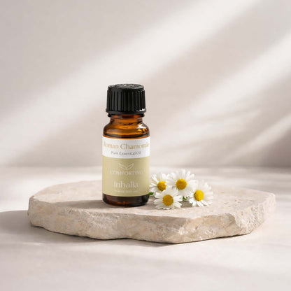 Roman chamomile essential oil for relaxation and better sleep support